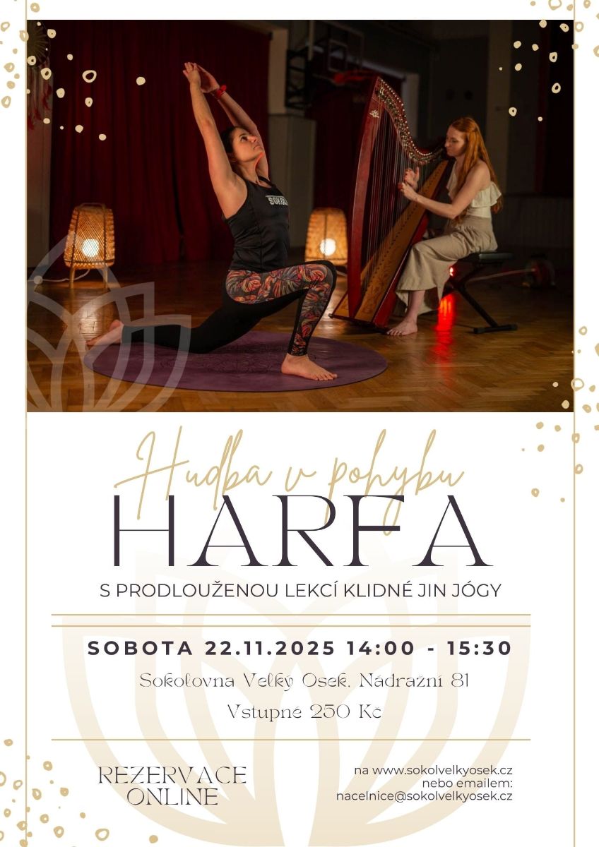 Harfa25.jpg