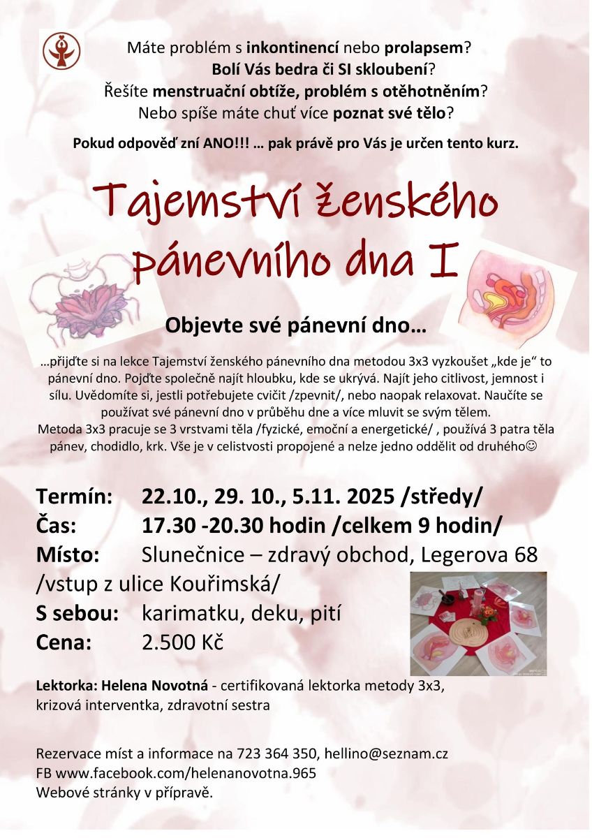 PanevnidnoSlunecnicekurz2025delsi.jpg