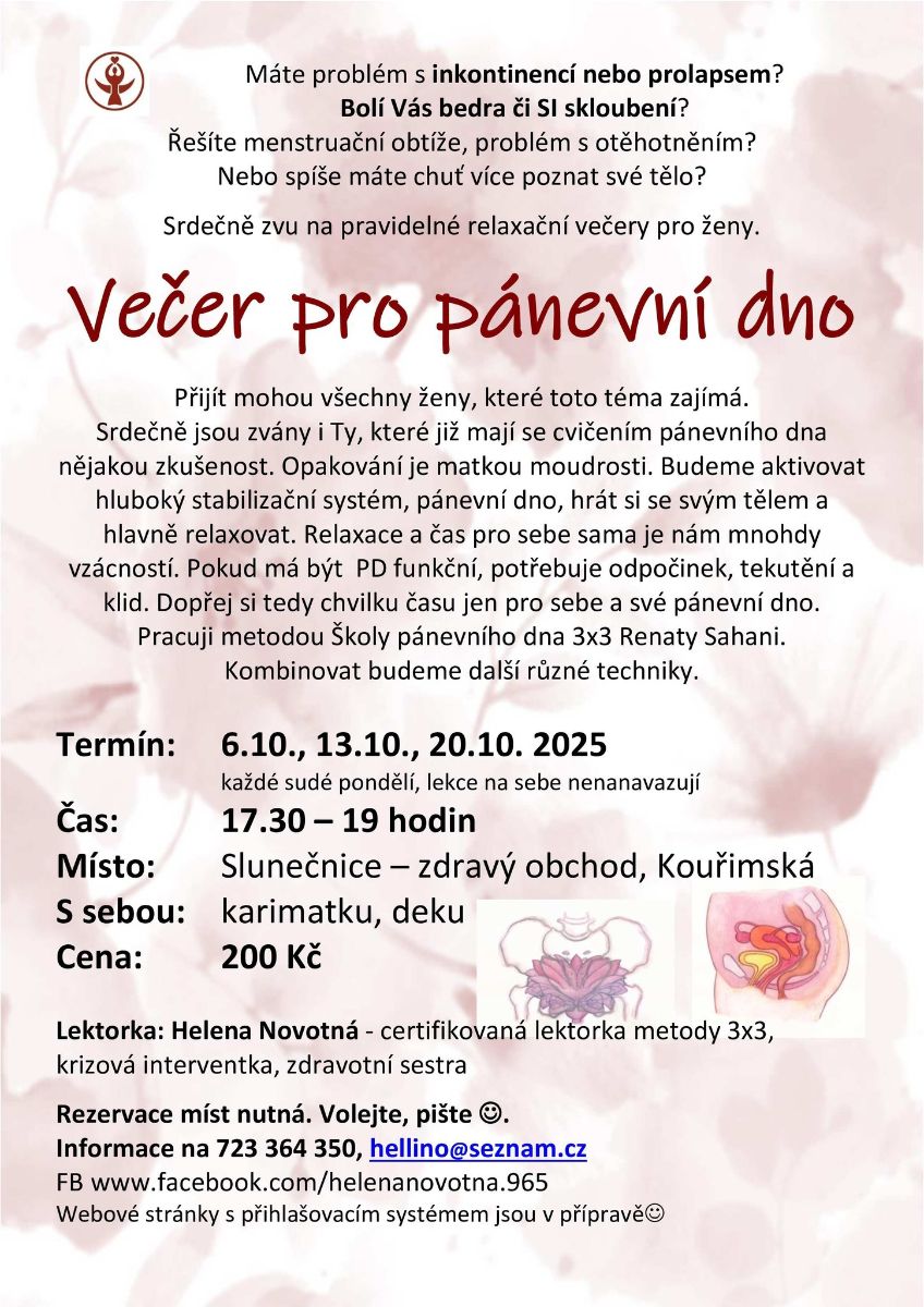 PanevnidnoSlunecnicerijen2025.jpg