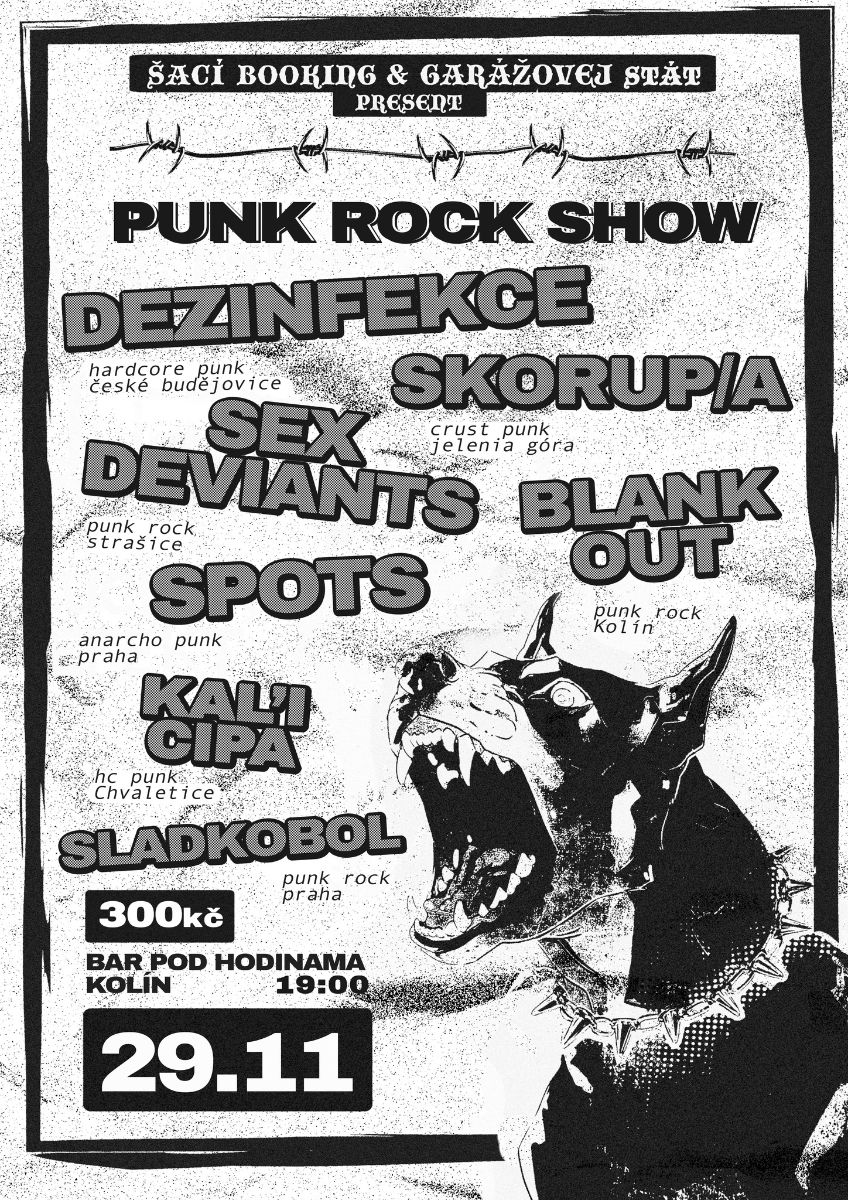 PunkRockShow.jpg