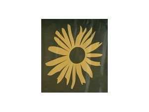 Arnika logo