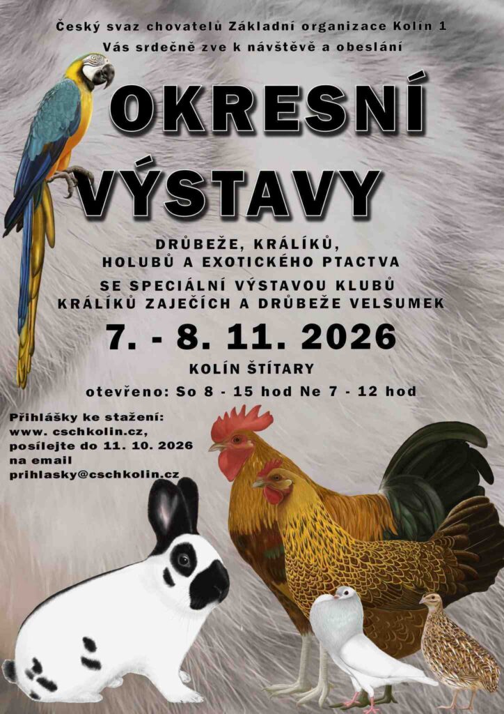 Výstava zvířat