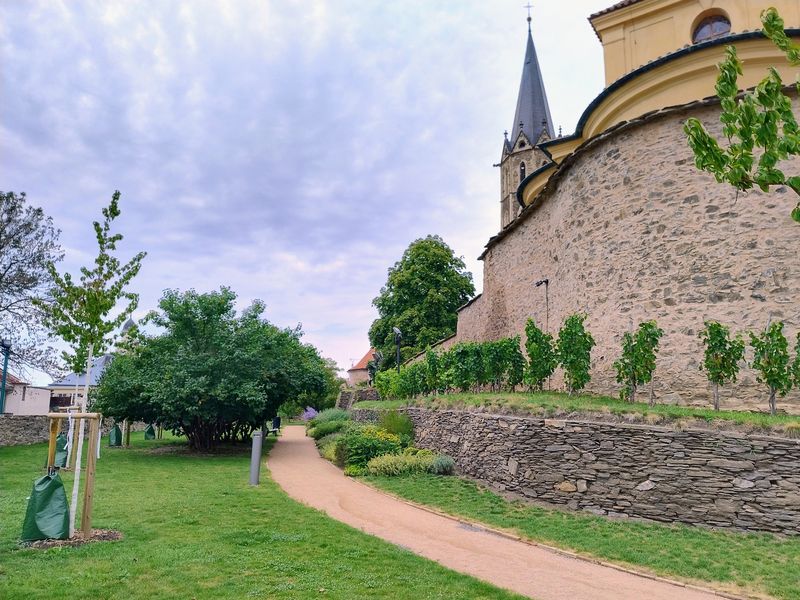 Bartolomějské návrší