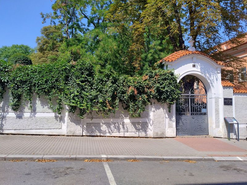 Židovský hbitov Kolín