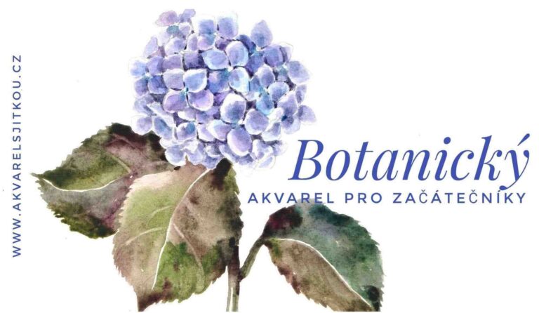 Botanický akvarel – HORTENZIE – kurz