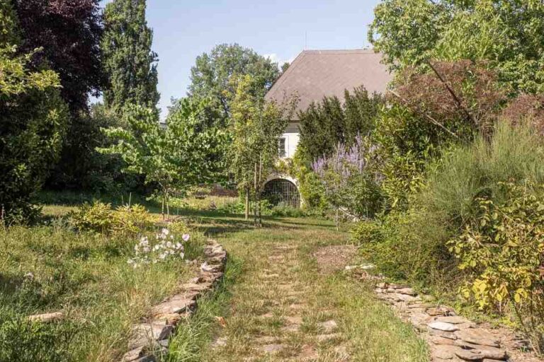 Otevřené neděle v Kolínském klášteře