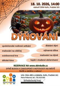 DynovaniDDMKolin