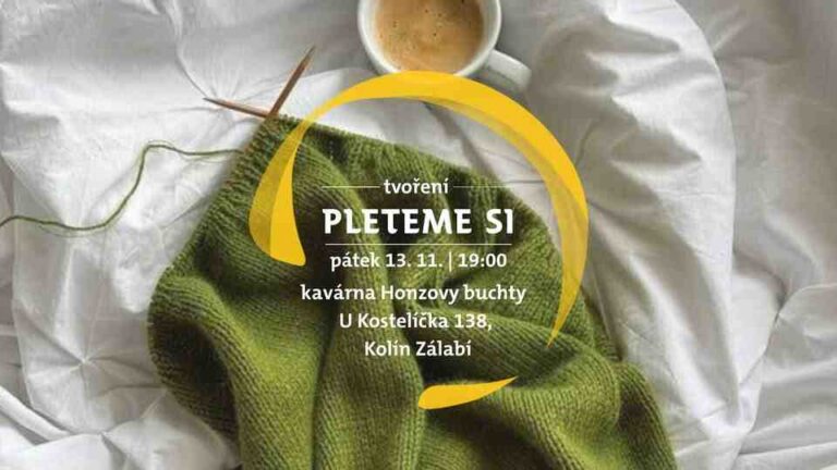 Pleteme si